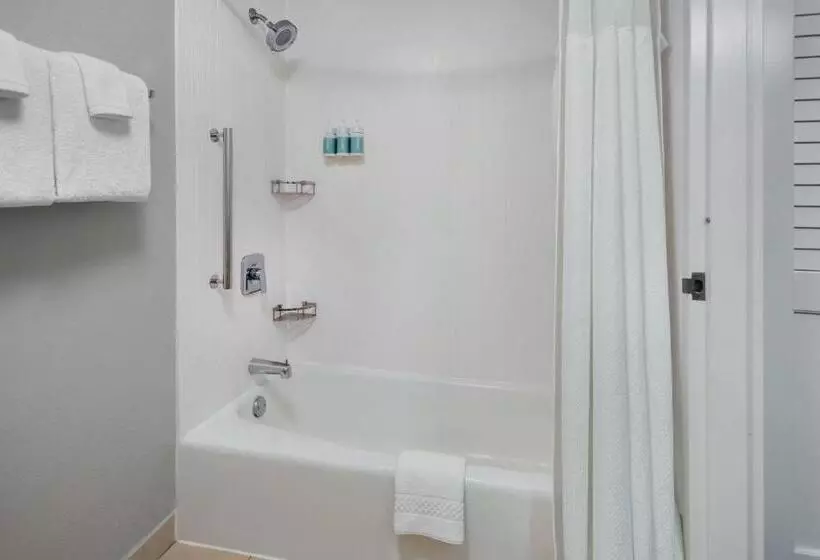身障者適用キングサイズベッドルーム, Courtyard By Marriott New Carrollton Landover