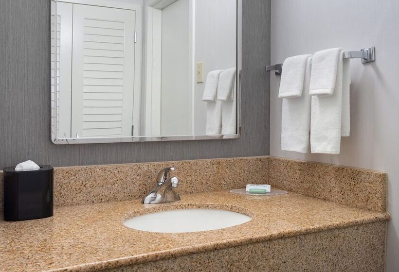 스위트, Courtyard By Marriott New Carrollton Landover