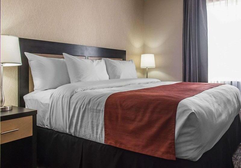 غرفة قياسية سرير كينج, Courtyard By Marriott Rockville