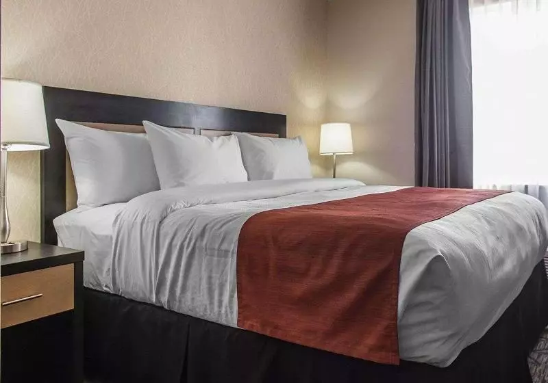 キングサイズベッドのスタンダードルーム, Courtyard By Marriott Rockville