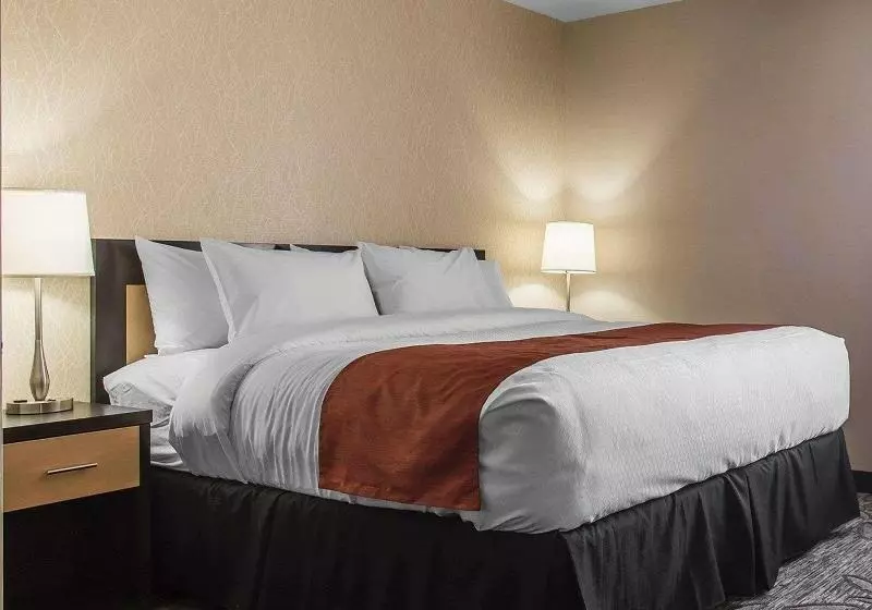 キングサイズベッドのスタンダードルーム, Courtyard By Marriott Rockville