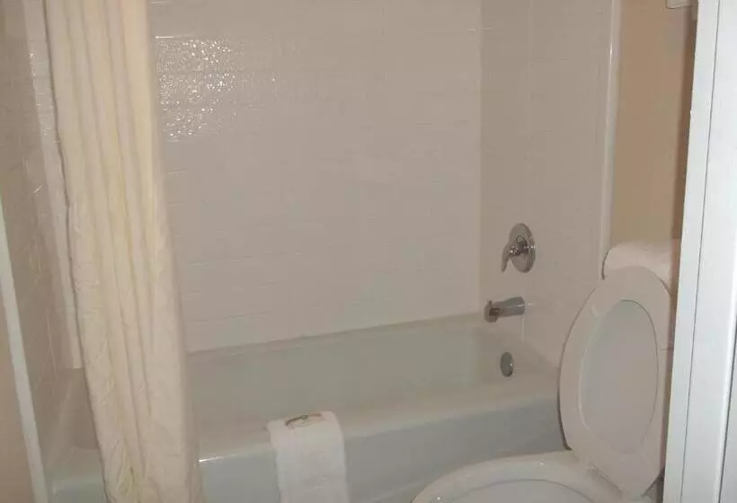 キングサイズベッドのデラックスルーム, Days Inn By Wyndham Fort Lauderdale Airport Cruise Port