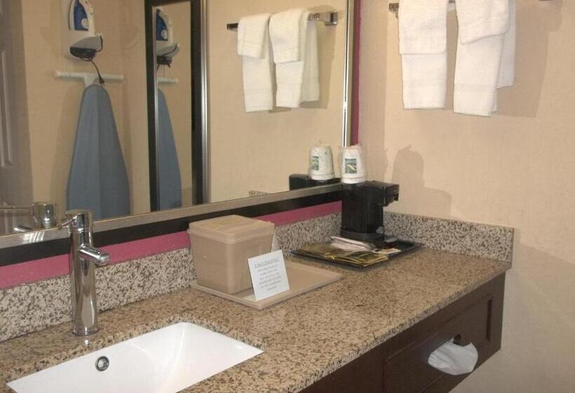 חדר דחוקס עם מיטת קינג, Days Inn By Wyndham Fort Lauderdale Airport Cruise Port