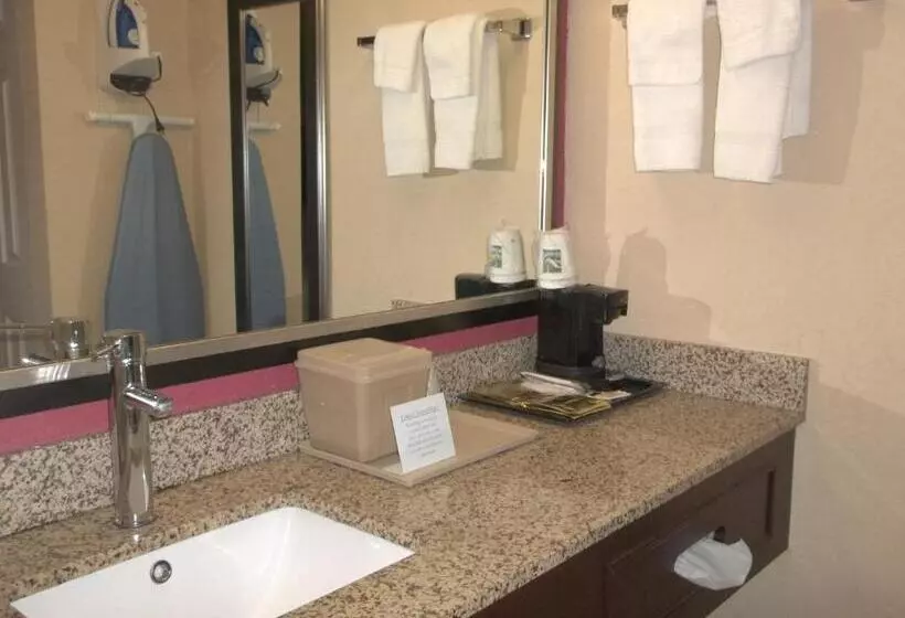 キングサイズベッドのデラックスルーム, Days Inn By Wyndham Fort Lauderdale Airport Cruise Port