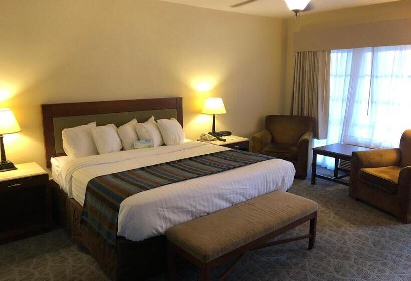 غرفة ديلوكس سرير كينج, Days Inn By Wyndham Natchez