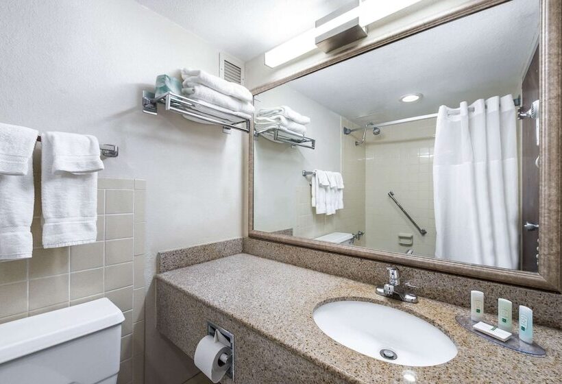 Номер Стандарт 2 Двуспальные Кровати, Econo Lodge