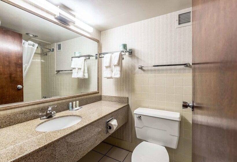 غرفه قياسيه سريرين مزدوجين, Econo Lodge