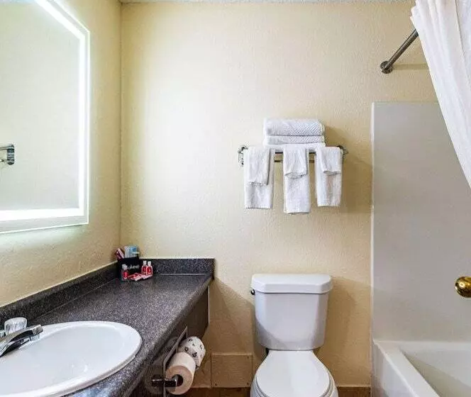 スタンダードルーム, Econo Lodge Cleveland Southeast  Kent