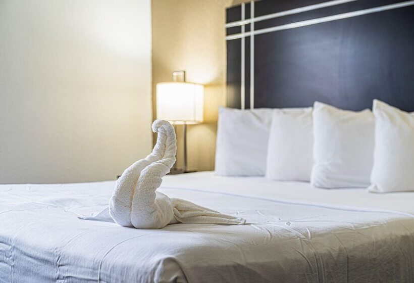 스탠다드 룸, Econo Lodge Cleveland Southeast Kent