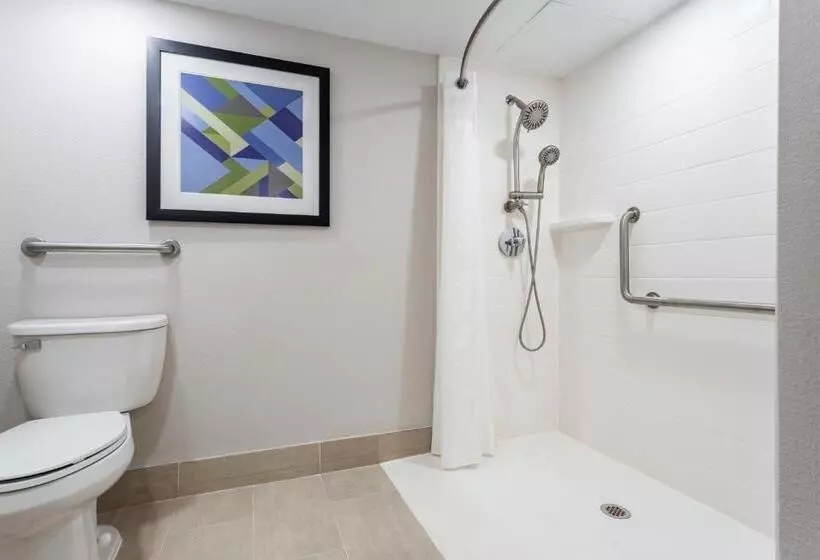 身障者適用キングサイズベッドルーム, Holiday Inn Express Exton   Great Valley, An Ihg