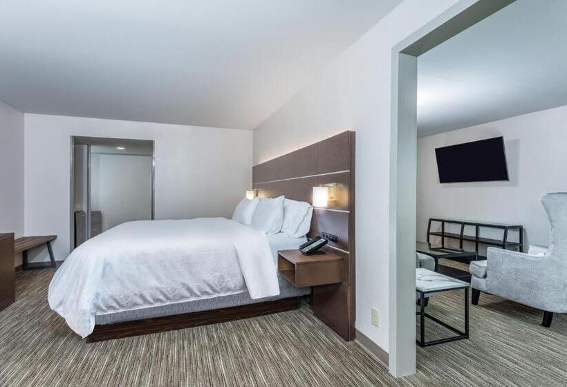 行政套房, Holiday Inn Express Exton   Great Valley, An Ihg