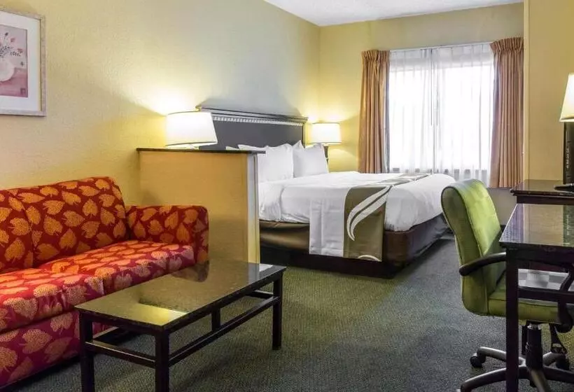 Suite King Bed