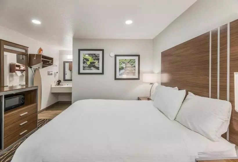 اتاق استاندارد, Rodeway Inn Carlsbad Caverns Area