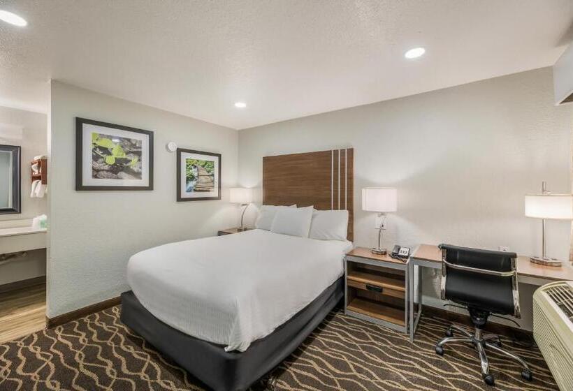 标准间, Rodeway Inn Carlsbad Caverns Area