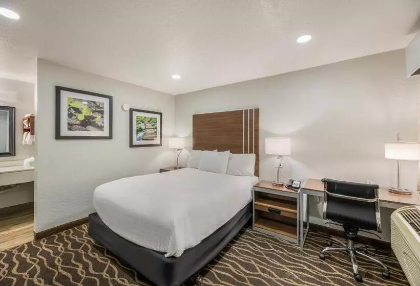 اتاق استاندارد, Rodeway Inn Carlsbad Caverns Area