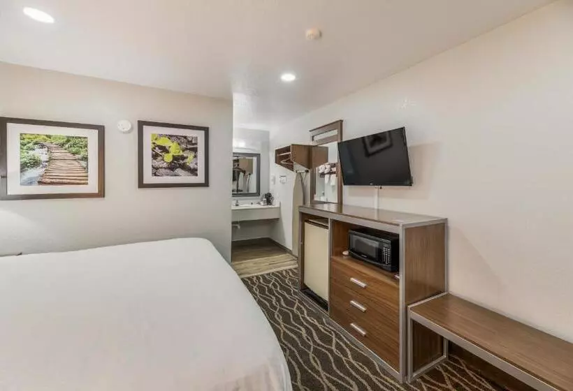 اتاق استاندارد با تخت بزرگ, Rodeway Inn Carlsbad Caverns Area