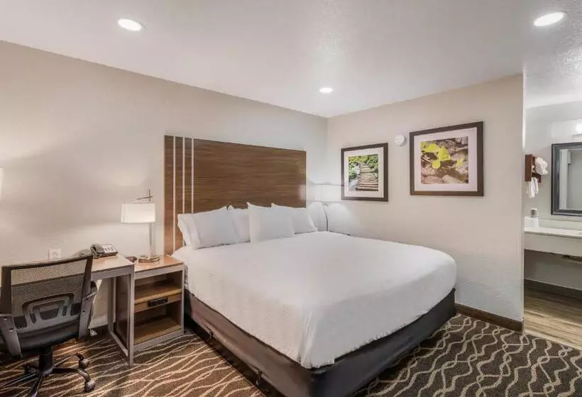اتاق استاندارد با تخت بزرگ, Rodeway Inn Carlsbad Caverns Area