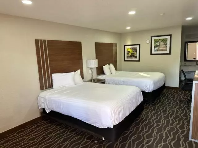 اتاق استاندارد, Rodeway Inn Carlsbad Caverns Area
