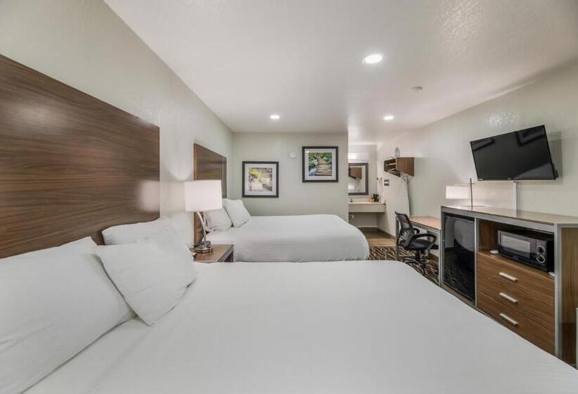 标准间, Rodeway Inn Carlsbad Caverns Area