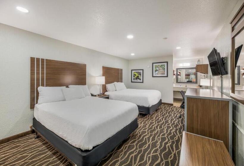 标准间, Rodeway Inn Carlsbad Caverns Area