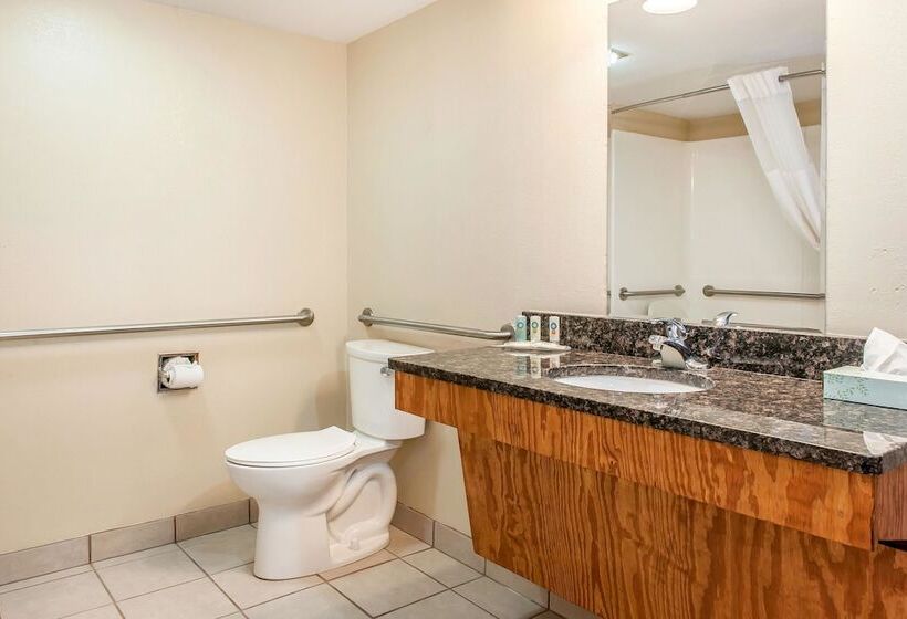 Номер Стандарт 2 Двуспальные Кровати, Quality Inn