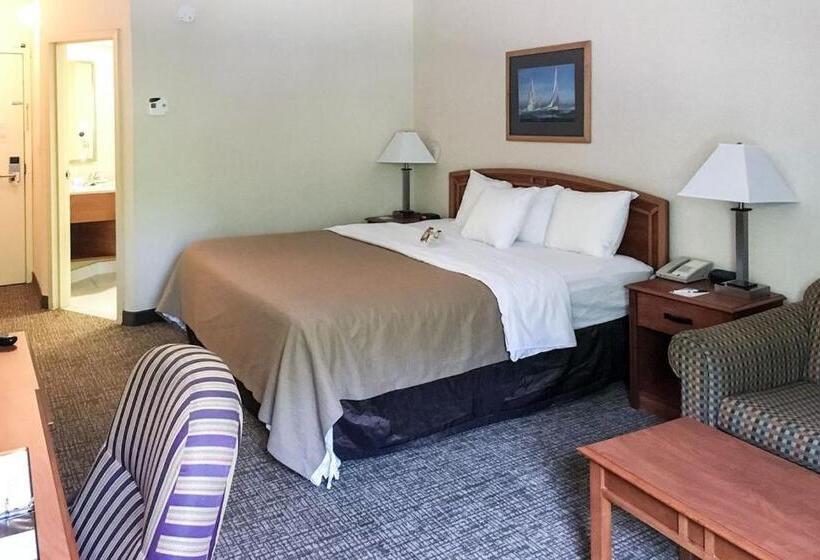 اتاق استاندارد با تخت بزرگ, Best Western Mystic