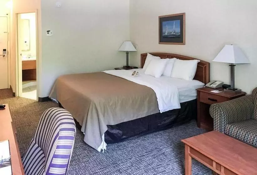 Standard-huone King-vuode, Best Western Mystic