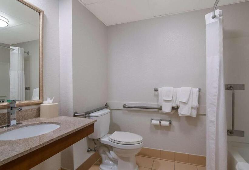 اتاق استاندارد با تخت بزرگ, Best Western Mystic