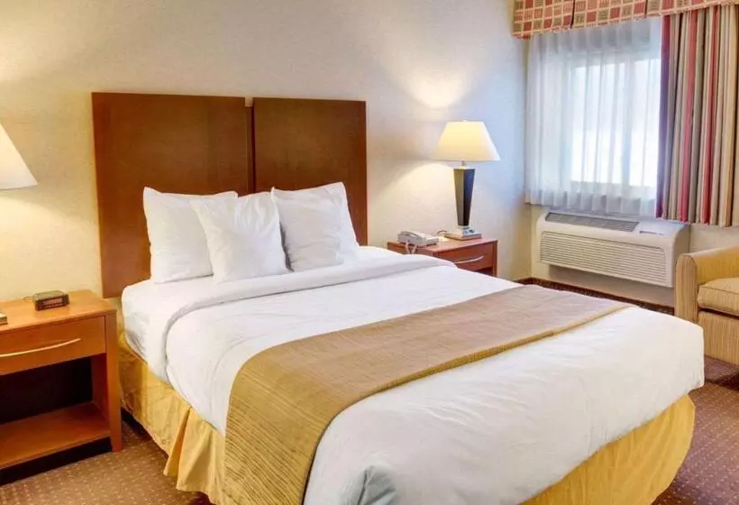 スタンダードルーム, Quality Inn Jessup   Columbia South Near Fort Meade