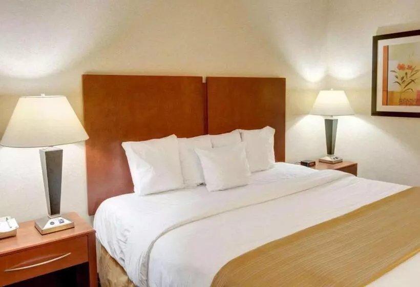 キングサイズベッドのスタンダードルーム, Quality Inn Jessup   Columbia South Near Fort Meade