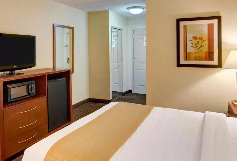 キングサイズベッドのスタンダードルーム, Quality Inn Jessup   Columbia South Near Fort Meade