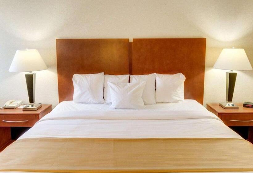キングサイズベッドのスタンダードルーム, Quality Inn Jessup Columbia South Near Fort Meade