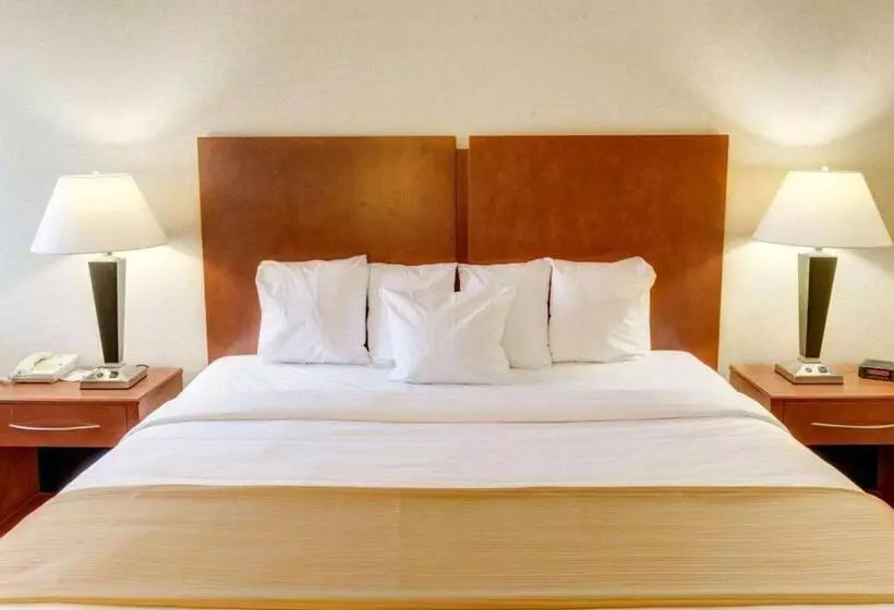 キングサイズベッドのスタンダードルーム, Quality Inn Jessup   Columbia South Near Fort Meade