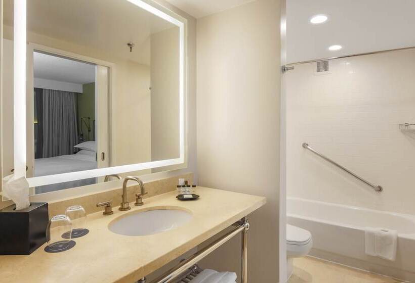 带城市景观的套间, Sheraton Suites Market Center Dallas