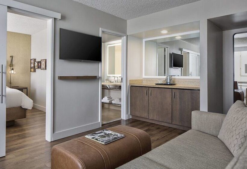 带城市景观的套间, Sheraton Suites Market Center Dallas