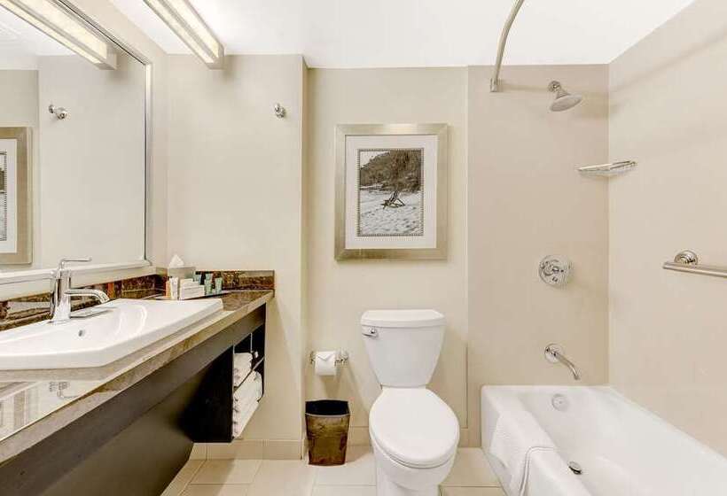 غرفة قياسية سرير ملكى, The Wayfarer San Luis Obispo, Tapestry Collection By Hilton