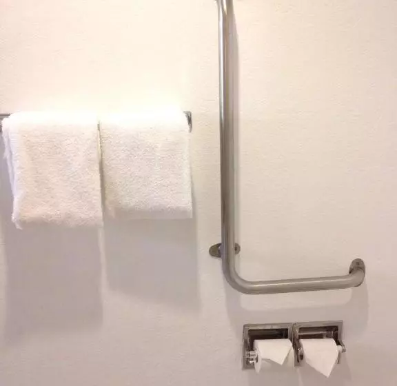 キングサイズベッドのデラックスルーム, Travelodge By Wyndham Brooklyn Center