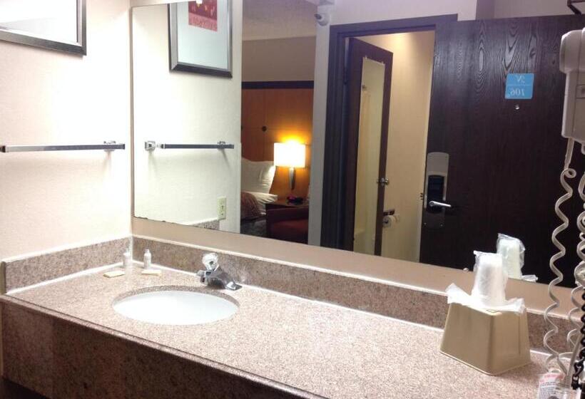 Номер Deluxe Кровать Кинг, Travelodge By Wyndham Brooklyn Center