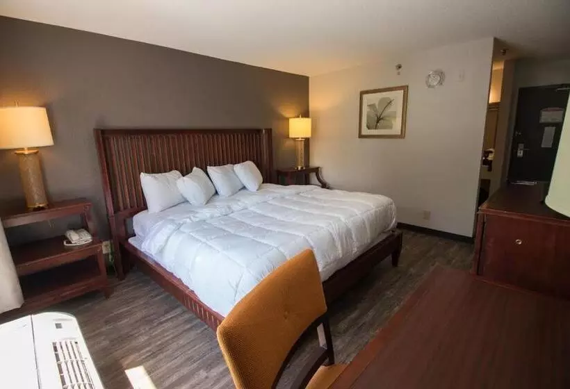 キングサイズベッドのスタンダードルーム, Baymont Inn And Suites By Wyndham Columbus / Near Osu