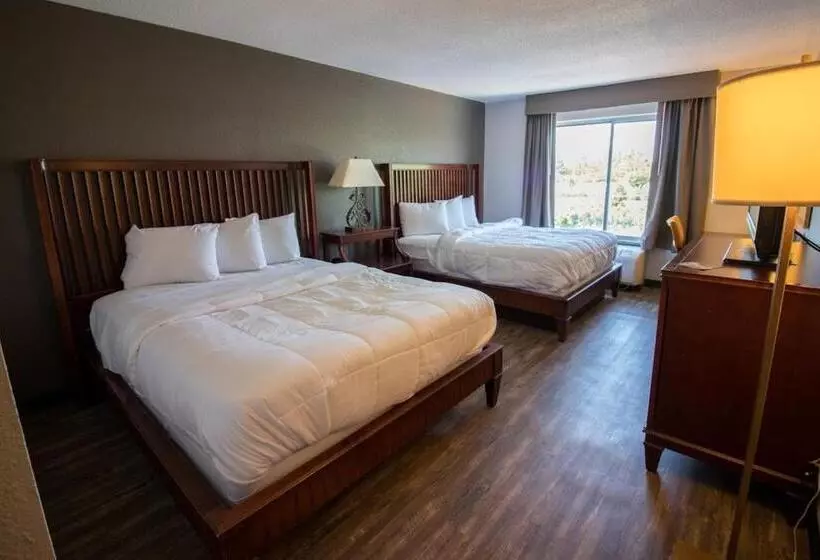 デラックスルーム, Baymont Inn And Suites By Wyndham Columbus / Near Osu