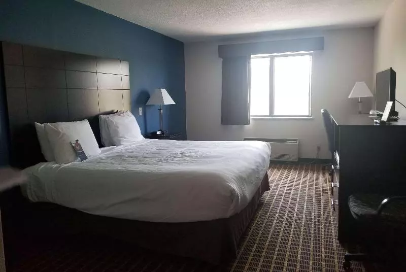 キングサイズベッドのスタンダードルーム, Baymont Inn & Suites Richmond