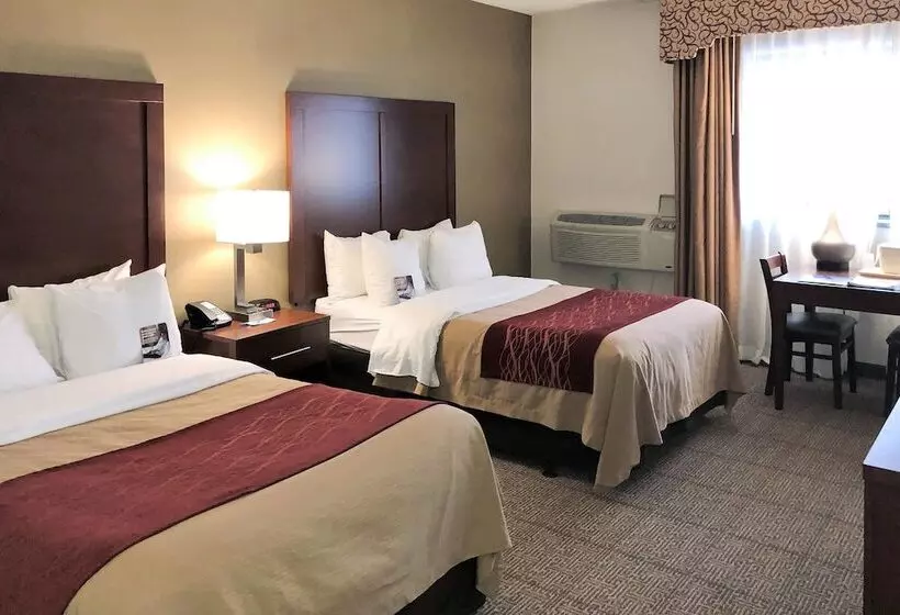 ２ダブルベッドのスタンダードルーム, Comfort Inn