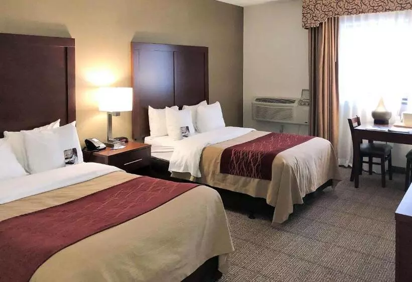 ２ダブルベッドのスタンダードルーム, Comfort Inn