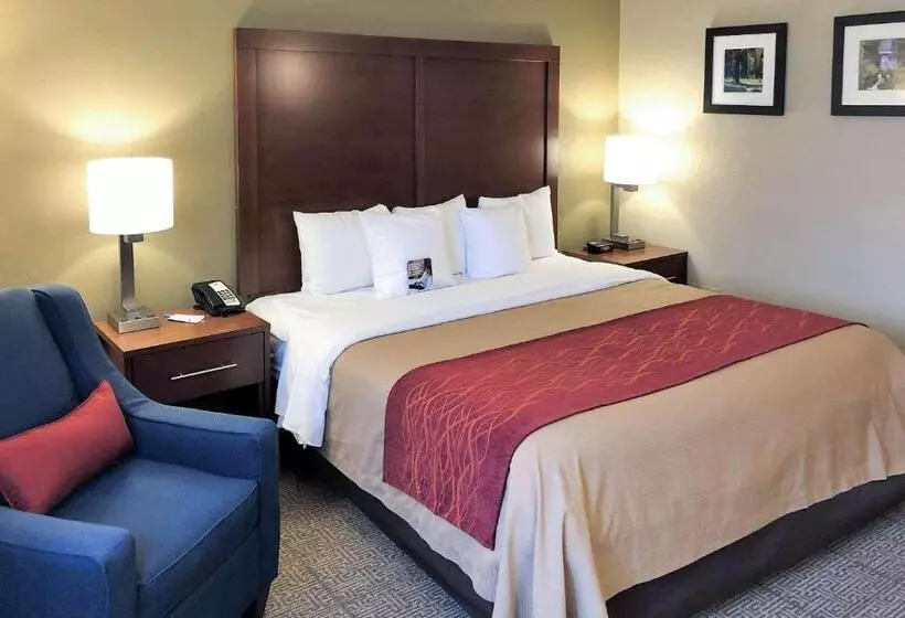 キングサイズベッドのスタンダードルーム, Comfort Inn