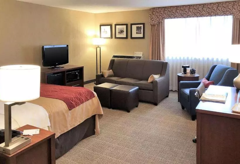 キングサイズベッドのスイートルーム, Comfort Inn