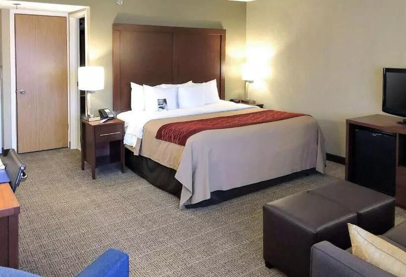 キングサイズベッドのスイートルーム, Comfort Inn