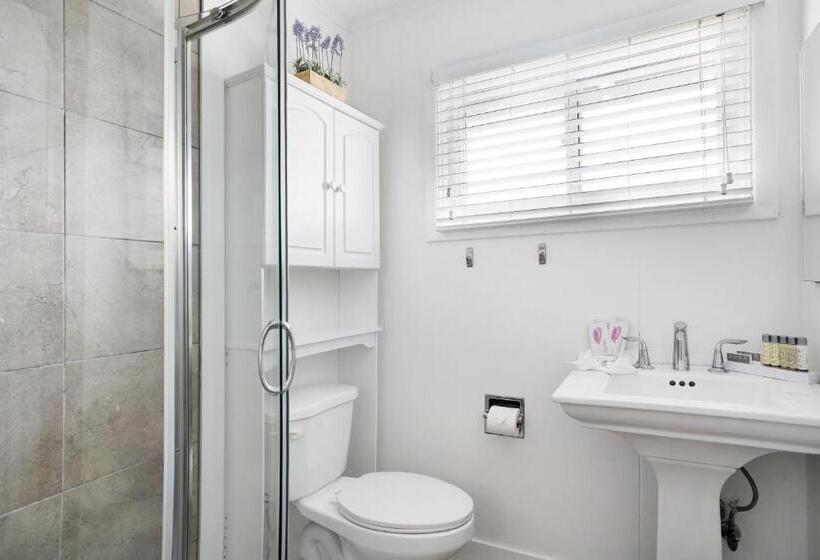 إستوديو قياسى, Driftwood Resort On The Ocean