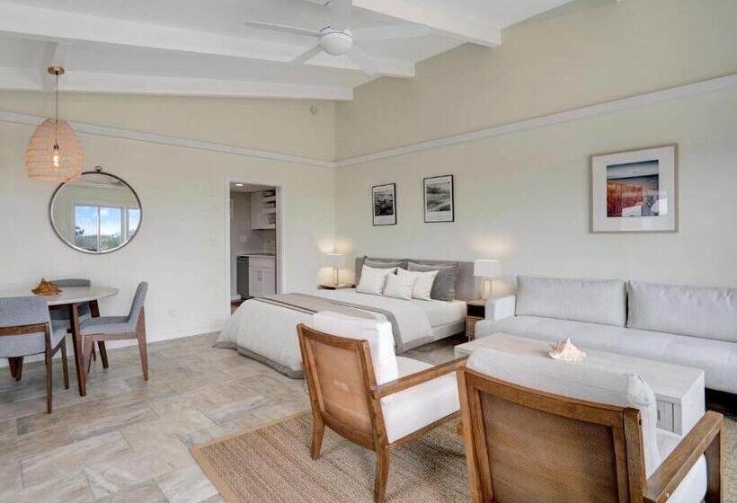 إستوديو ديلوكس, Driftwood Resort On The Ocean