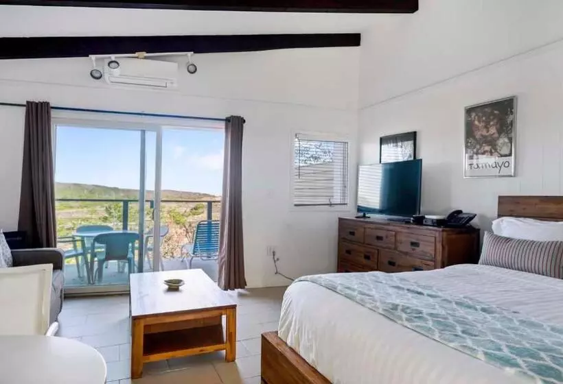 スタンダードスタジオ, Driftwood Resort On The Ocean