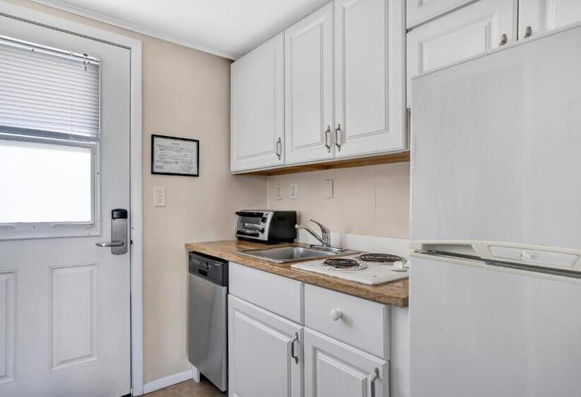 إستوديو قياسى, Driftwood Resort On The Ocean